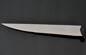 Nôž na grilovanie Pro Team 39/19cm