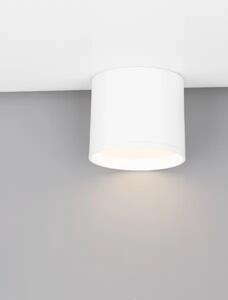 Moderné stropné svietidlo Ziaza 10 biela
