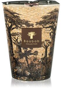 Baobab Collection Sacred Trees Mankono vonná sviečka 3000 g
