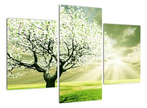 Jarný strom - moderný obraz (Obraz 90x60cm)