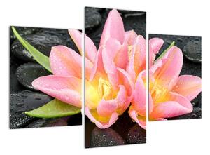 Obraz kvetov (Obraz 90x60cm)