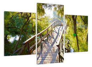 Moderné obraz - most cez vodu (Obraz 90x60cm)