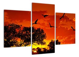 Obraz zapadajúceho slnka s vtákmi (Obraz 90x60cm)