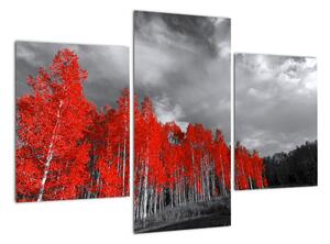 Červený les - moderný obraz (Obraz 90x60cm)