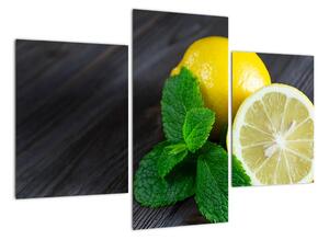 Obraz citrónu na stole (Obraz 90x60cm)