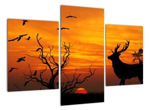 Obraz - jeleň na jesenné lúke (Obraz 90x60cm)
