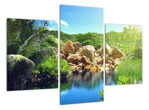 Obraz jazera na Seychelách (Obraz 90x60cm)