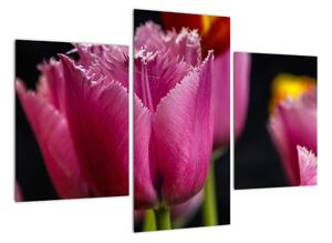 Tulipány - obrazy (Obraz 90x60cm)