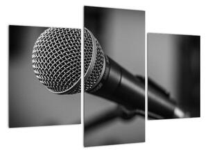 Obraz mikrofónu (Obraz 90x60cm)