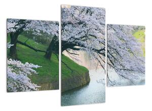 Obraz kvitnúcich stromov (Obraz 90x60cm)