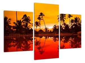 Obraz - tropická krajina (Obraz 90x60cm)