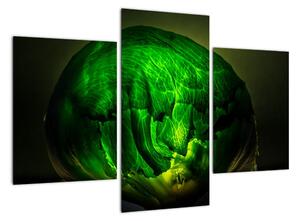 Zelená moderná abstrakcie (Obraz 90x60cm)
