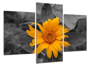 Obraz oranžového kvetu (Obraz 90x60cm)