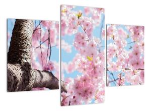 Kvitnúce strom - obraz (Obraz 90x60cm)