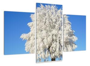 Zasnežený strom - obraz (Obraz 90x60cm)