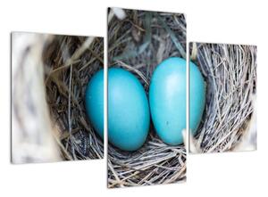 Obraz modrých vajíčok v hniezde (Obraz 90x60cm)