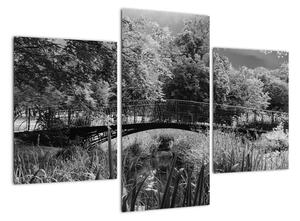 Čiernobiely most - obraz (Obraz 90x60cm)