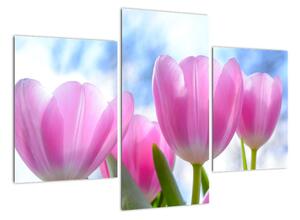 Obraz ružových tulipánov (Obraz 90x60cm)