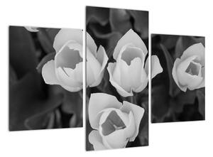 Čiernobiele kvety (Obraz 90x60cm)