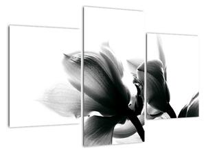 Obraz čiernobielych kvetov (Obraz 90x60cm)