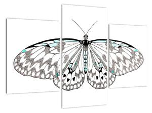 Čiernobiely motýľ (Obraz 90x60cm)