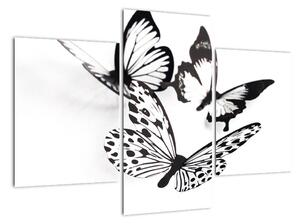 Obraz motýľov (Obraz 90x60cm)