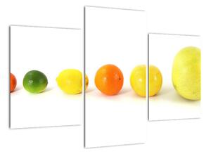 Obraz - ovocie (Obraz 90x60cm)