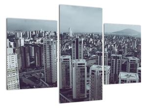 Čiernobiely obraz mesta (Obraz 90x60cm)
