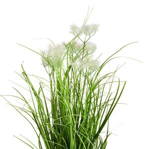 FLORISTA Zväzok trávy v kvetináči 8 cm
