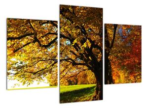 Obraz jesennej krajiny (Obraz 90x60cm)