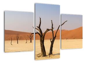 Obraz púšte (Obraz 90x60cm)