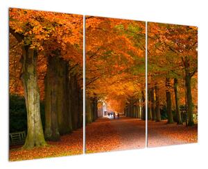 Obraz cesty lesom na jeseň (Obraz 120x80cm)