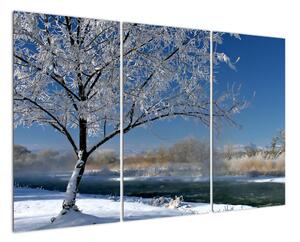 Obraz zamrznuté zimnej krajiny (Obraz 120x80cm)