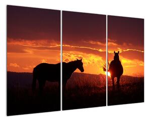 Obraz - kone pri západe slnka (Obraz 120x80cm)