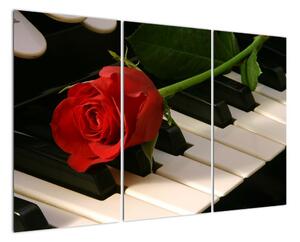 Obraz ruže na klavíri (Obraz 120x80cm)