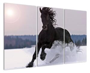Obraz kone v snehu (Obraz 120x80cm)