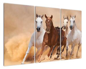 Obrazy bežiacich koní (Obraz 120x80cm)