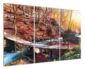 Obraz mosta - jesenné cesta lesom (Obraz 120x80cm)