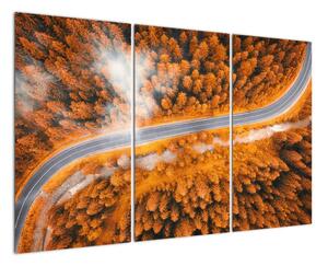 Cesta lesom - moderné obrazy na stenu (Obraz 120x80cm)