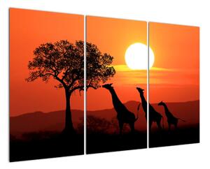 Obraz žirafy pri západe slnka (Obraz 120x80cm)