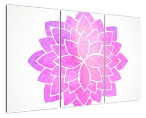 Obraz: ružová mandala (Obraz 120x80cm)