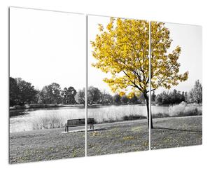 Obraz žltého stromu v prírode (Obraz 120x80cm)