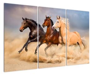 Moderný obraz koní (Obraz 120x80cm)