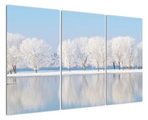 Obraz - zimná príroda (Obraz 120x80cm)
