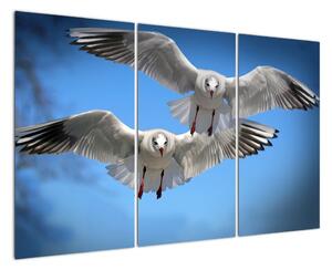 Obraz do bytu - vtáky (Obraz 120x80cm)