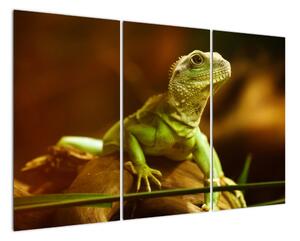 Obraz na stenu - zvieratá (Obraz 120x80cm)