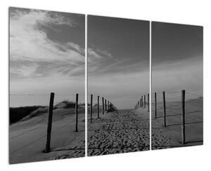 Obraz - cesta v piesku (Obraz 120x80cm)
