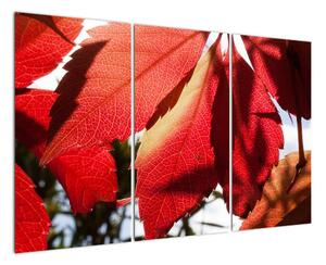 Obraz červených listov (Obraz 120x80cm)