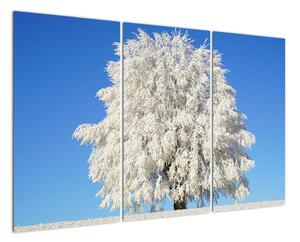 Zasnežený strom - obraz (Obraz 120x80cm)