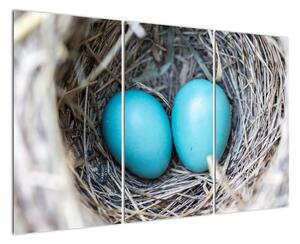 Obraz modrých vajíčok v hniezde (Obraz 120x80cm)